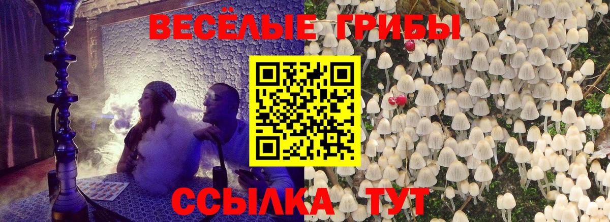 Галлюциногенные грибы MAGIC MUSHROOMS  Псилоцибиновые грибы Psilocybine cubensis  Сызрань  Вход с VPN 