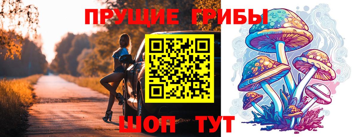 Псилоцибиновые грибы Psilocybe Сызрань
